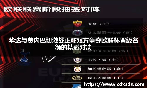 华达与费内巴切激战正酣双方争夺欧联杯晋级名额的精彩对决